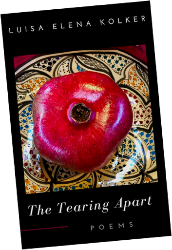 The Tearing Apart by Luisa Elena Kolker